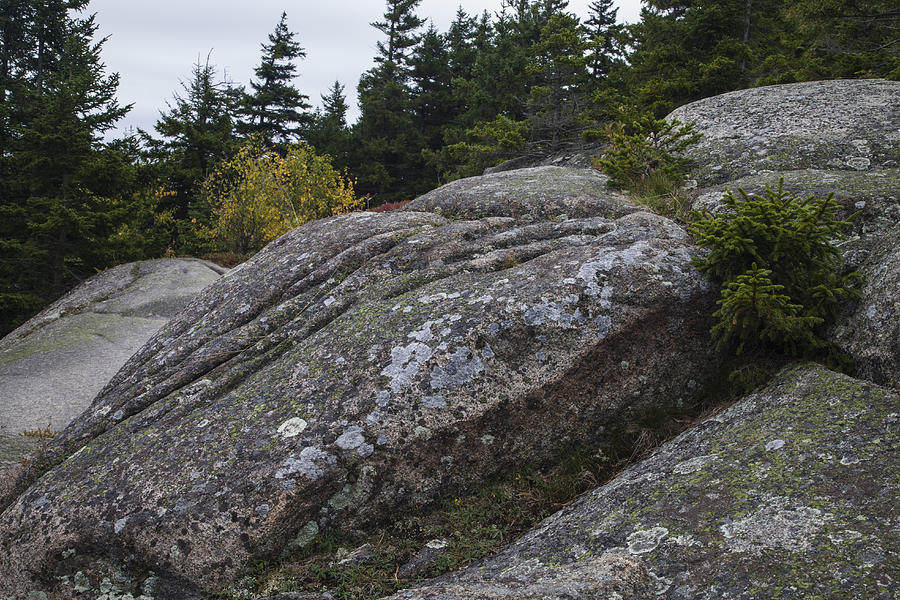 Weathered Granite on Beech Mtn Trail, Acadia #1 Photograph by Jerry Whaley