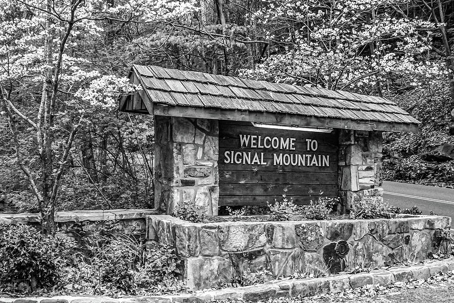 Welcome to Signal Mountain Spring #1 Photograph by Tom and Pat Cory