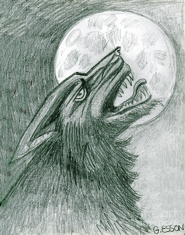 Werewolf #2 Drawing by Genevieve Esson