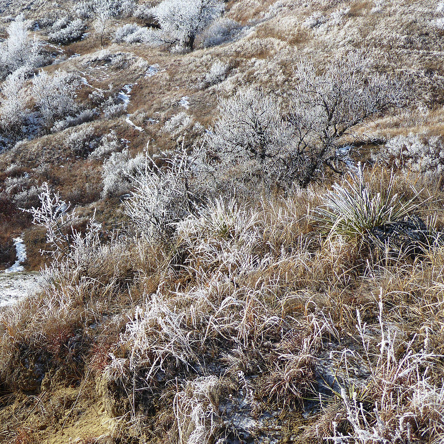 West Dakota Winter Hills #1 Photograph by Cris Fulton