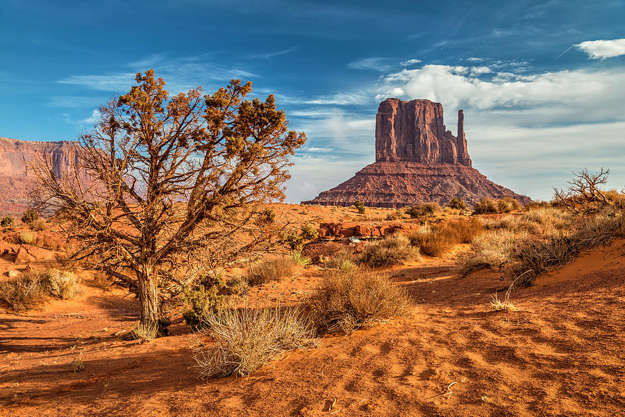 West Mitten Butte, Monument Valley Navajo Tribal Park, Arizona ...