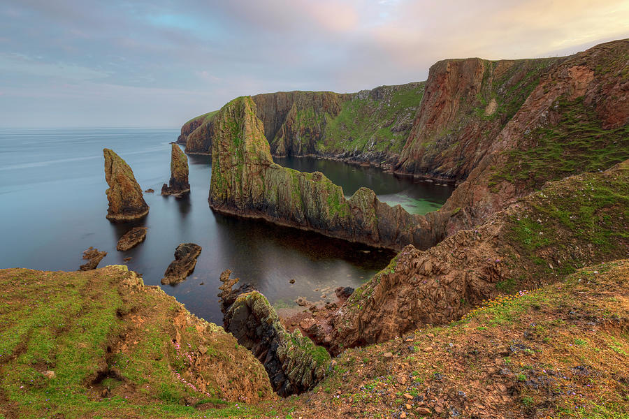 Westerwick Cliffs - Shetland Islands Photograph by Joana Kruse - Fine ...