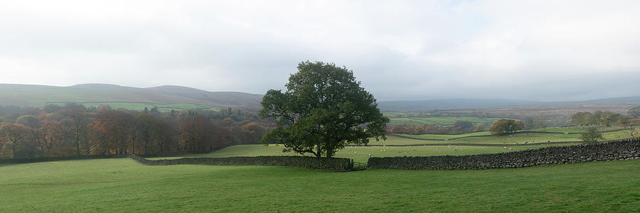 Whargedale Fields Autumn Yorkshire Dales.jpg #1 Photograph by Sonny Ryse