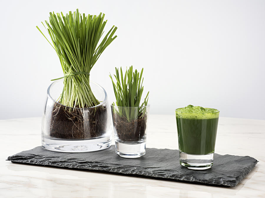 Wheatgrass juice #1 Photograph by Burcu Atalay Tankut Wheatgrass juice #1 Photograph by Burcu Atalay Tankut