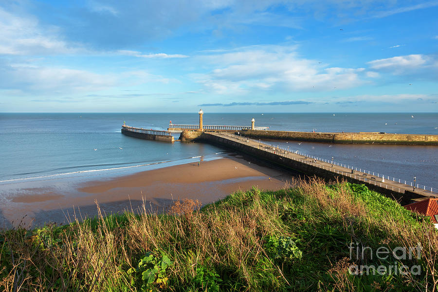 Whitby Harbour North Yorkshire Photograph