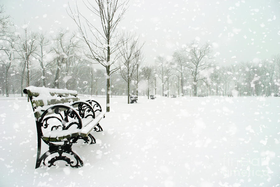 Forest Park Digital Art - White Blanket Bench by Chris Mautz Forest Park Digital Art - White Blanket Bench by Chris Mautz
