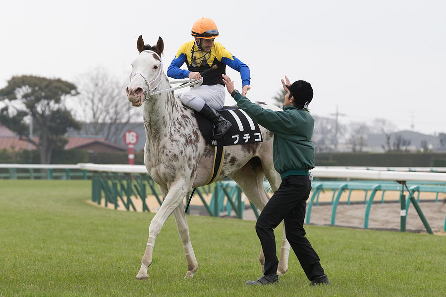 White filly Buchiko wins Kazusa Stakes at Nakayama Racecourse, Japan #1 Photograph by Lo Chun Kit
