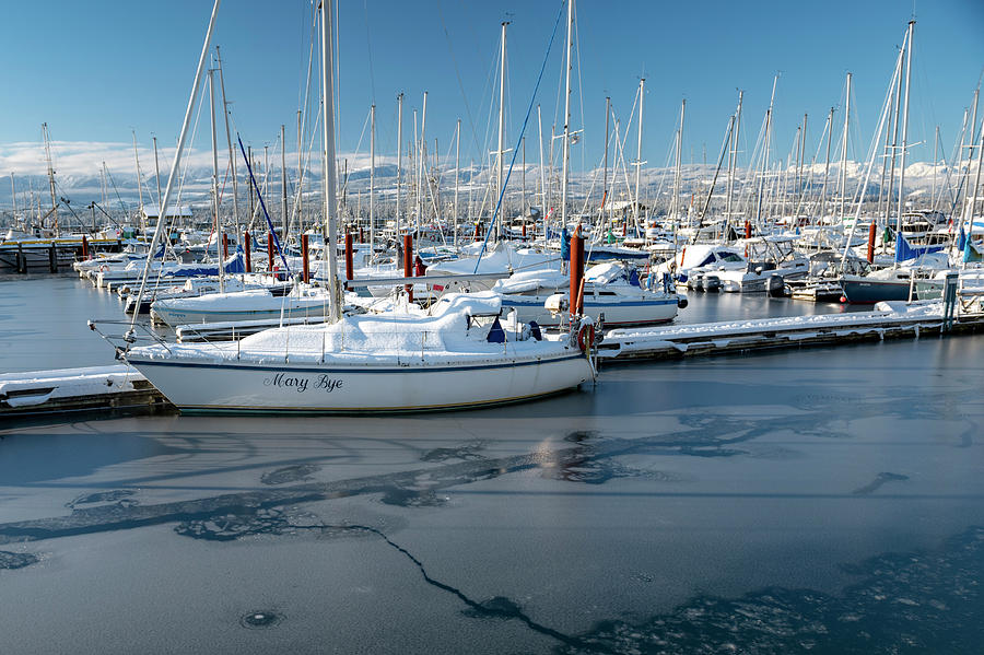 White marina Photograph by Canadart -