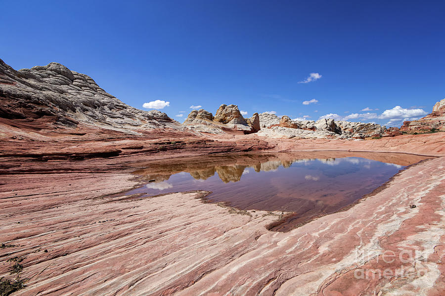 White Pocket, Utah #1 Photograph by Luis Torres - Fine Art America