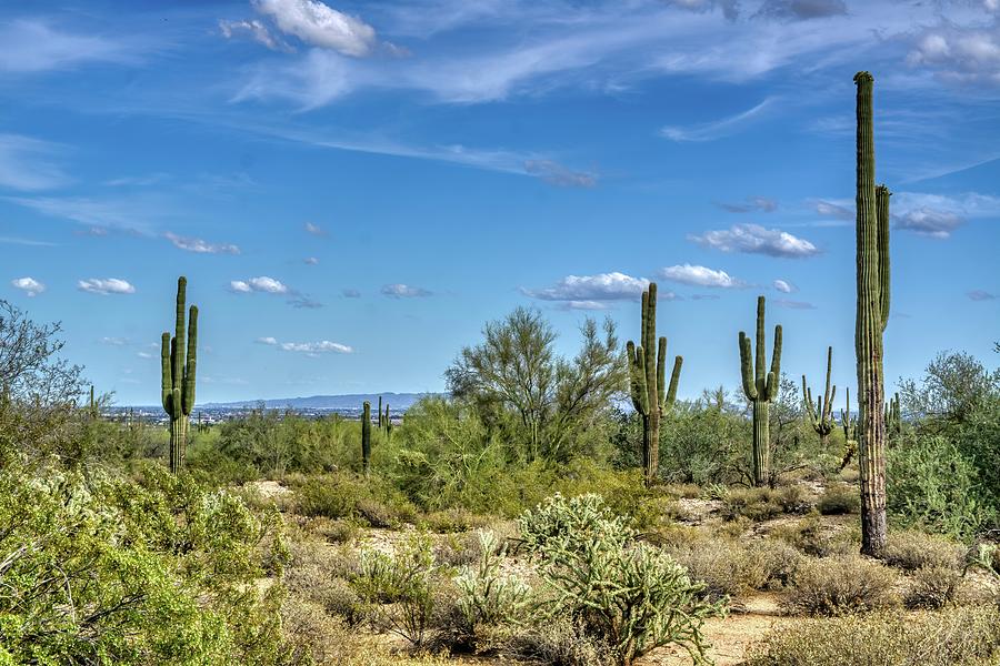 White Tank Mountain Scenes Near Phoenix Arizona #1 Photograph by Kenneth Roberts