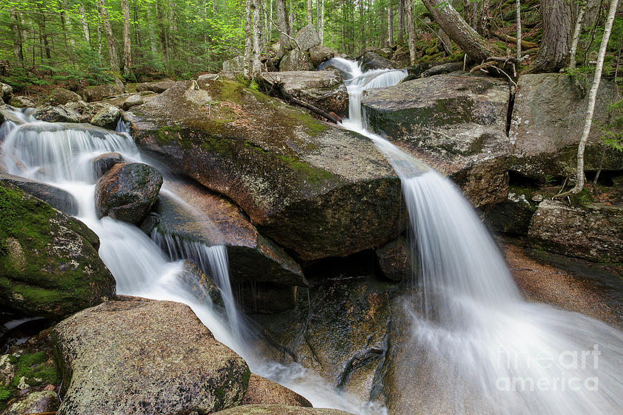 Whitehouse Brook - Franconia Notch, New Hampshire #1 Photograph by Erin Paul Donovan