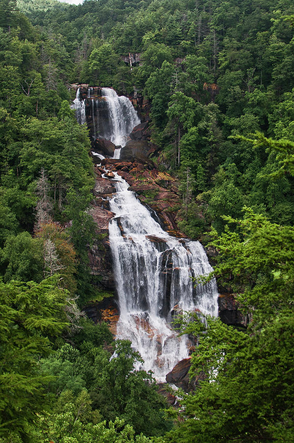 Whitewater Falls, North Carolina Photograph by Bistra Hristova