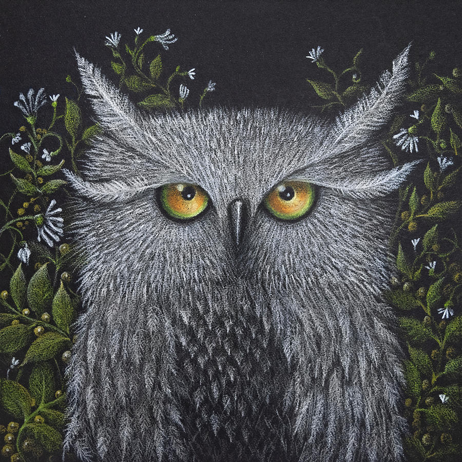 Owl Drawing - Hoo Are You?  by Deborah Gwinn