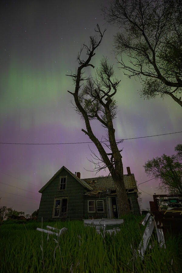 Wicked Tree #1 Photograph by Aaron J Groen Wicked Tree #1 Photograph by Aaron J Groen