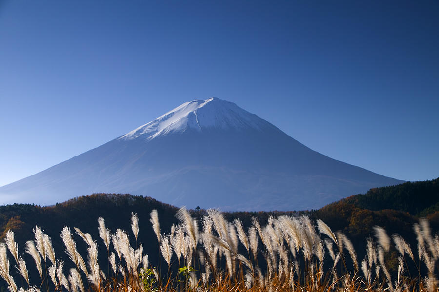 Wild grasses and Mount Fuji, Fuji-Hakone-Izu National Park, Honshu, Japan #1 Photograph by Art Wolfe