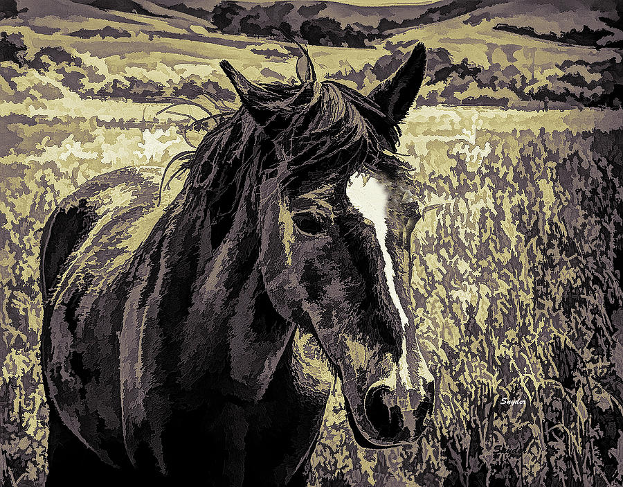 Wild Horse Face and a Pretty One Too BW #1 Photograph by Barbara Snyder