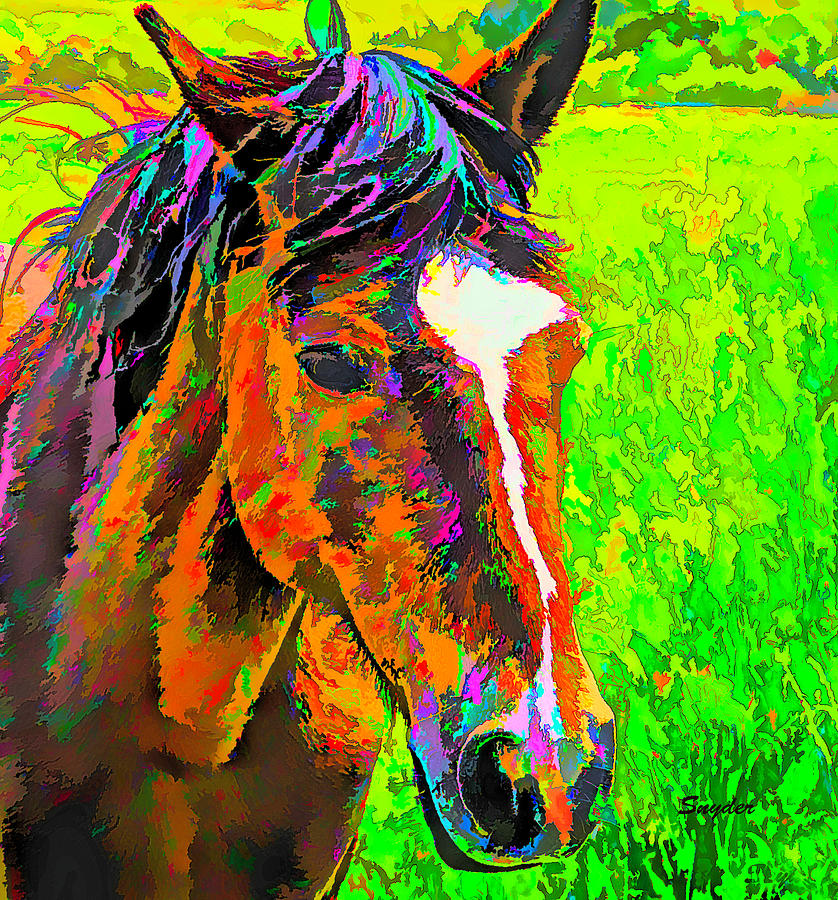 Wild Horse Face and a Pretty One Too Detail #1 Digital Art by Barbara Snyder