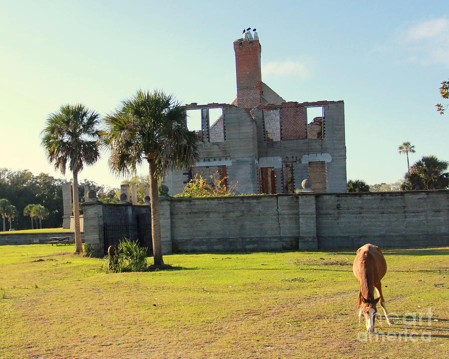 Architecture Photograph - Wild Horses of Cumberland Island #4 by Charlene Cox