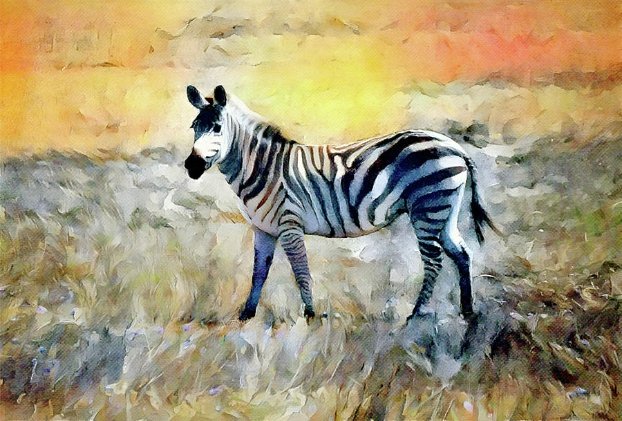 Wild Zebra Artsy Style 1 Digital Art By Gaby Ethington Fine Art America