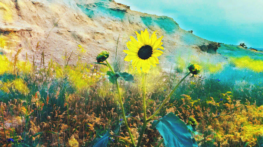 Wildflowers in the Badlands  #1 Mixed Media by Ally White