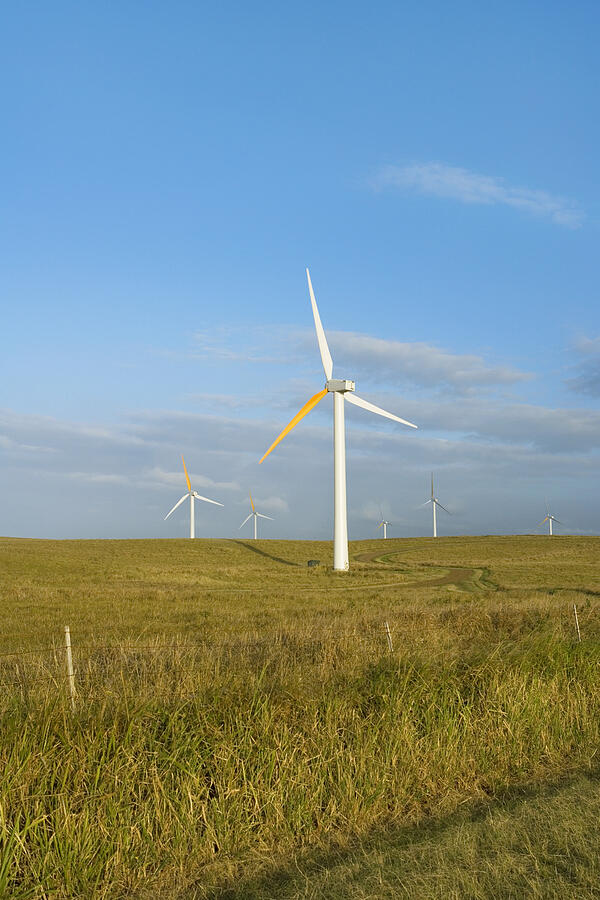 Wind turbines in a field, Pakini Nui Wind Project, South Point, Big Island, Hawaii Islands, USA #1 Photograph by Glowimages