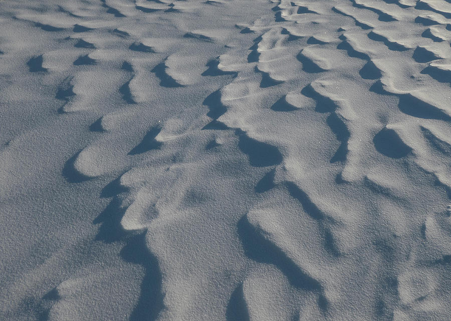 Abstract Photograph - Windblown Snow Abstract #1 by Phil And Karen Rispin