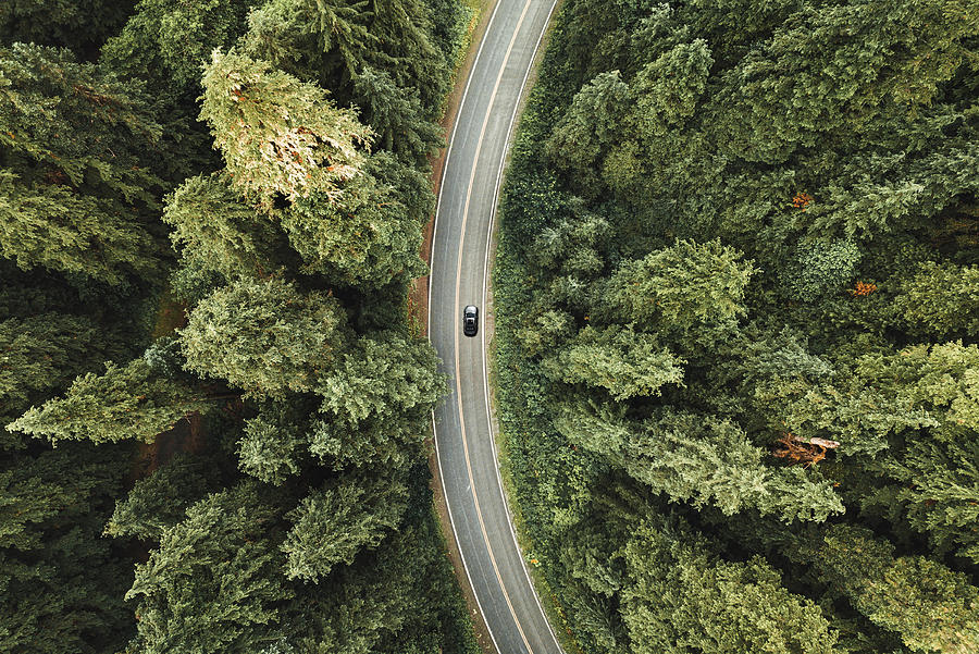Winding Road In The Forest On North America #1 Photograph by Franckreporter