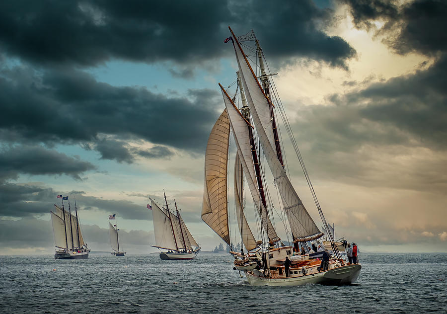 Windjammer Fleet Photograph by Fred LeBlanc