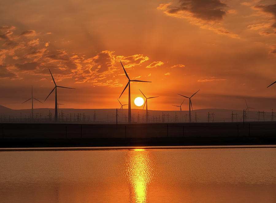 Windmill turbines at sunrise with reflection #1 Photograph by Mikhail Kokhanchikov