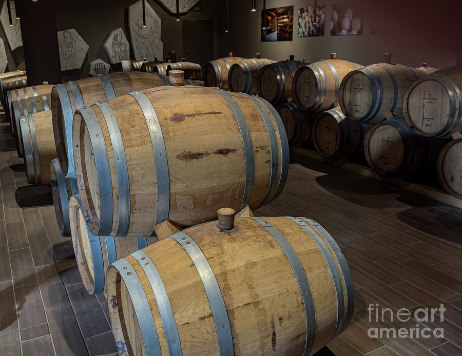 Wine Barrels #1 Photograph by William Norton