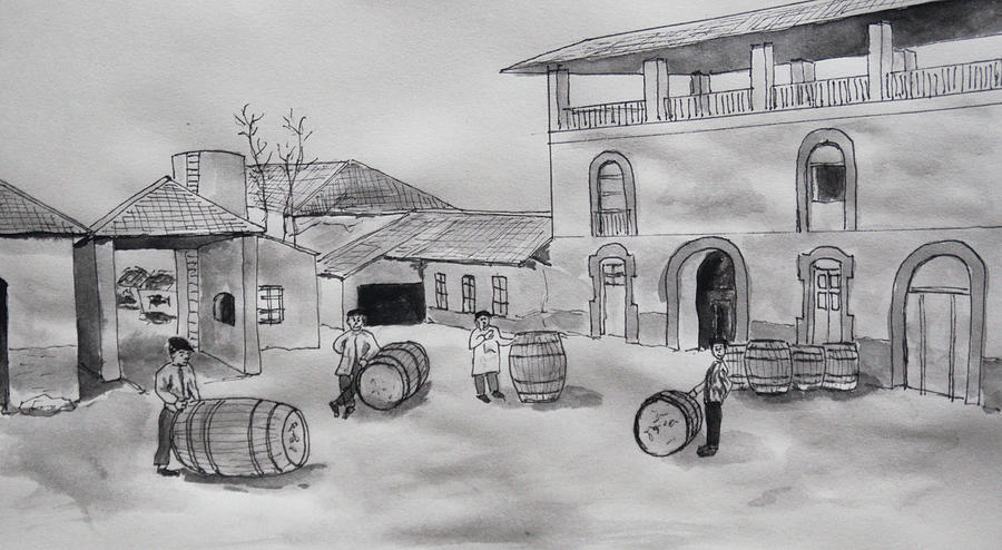 Winery Drawing by Francisco Capilla Hervas - Fine Art America