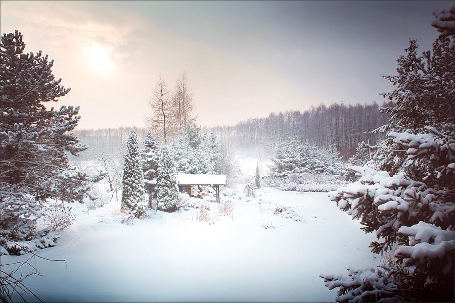 Snowy Winter Night by Slawek Aniol