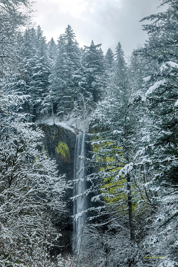 Winter At Latourell Falls Photograph