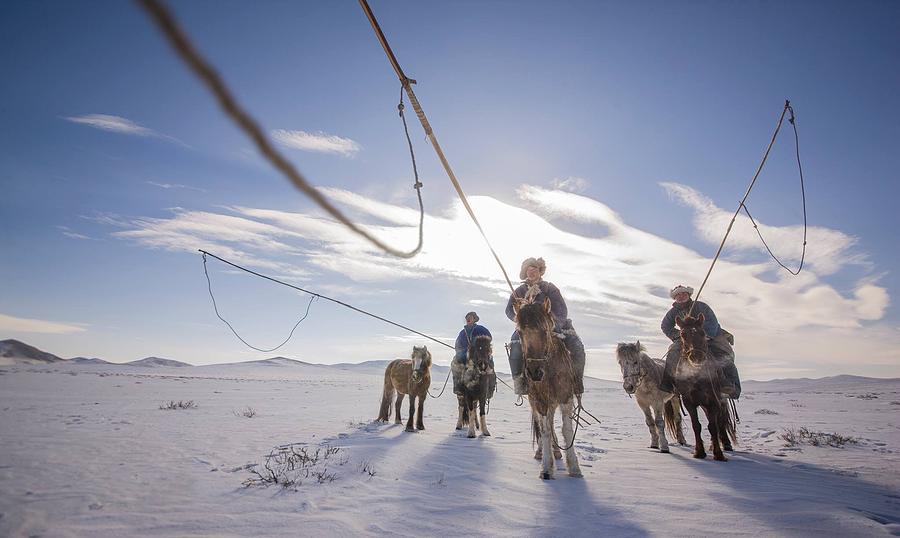 Winter #1 Photograph by Bat-Erdene Baasansuren