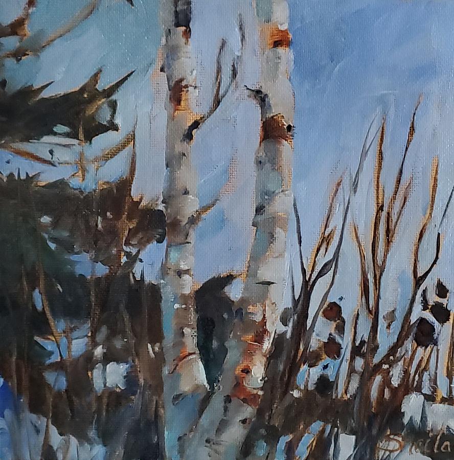 Winter Birches #1 Painting by Sheila Romard
