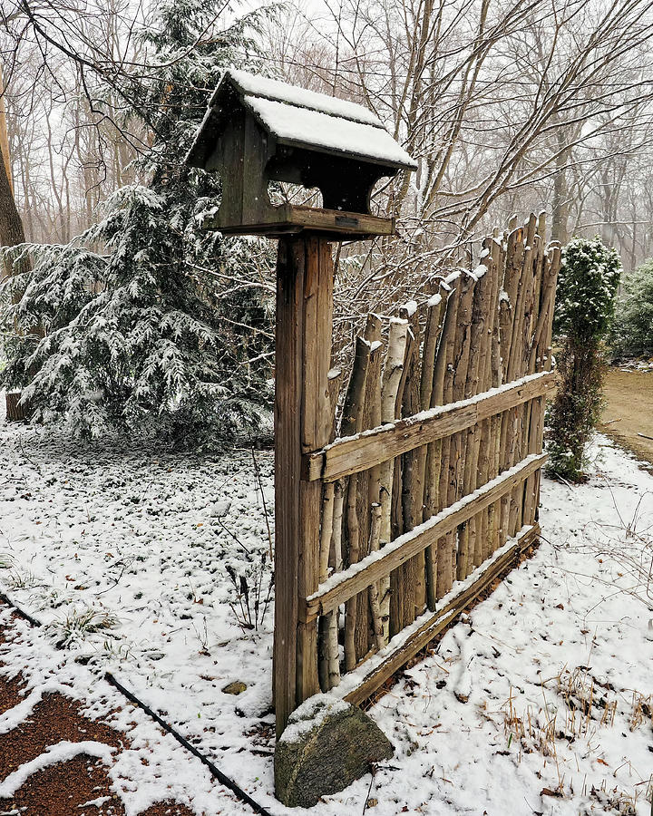 Winter Bird house #1 Photograph by Scott Olsen