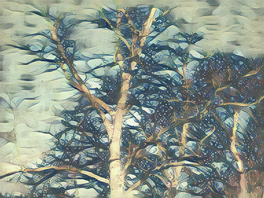 Winter Branches Mixed Media by Christopher Reed