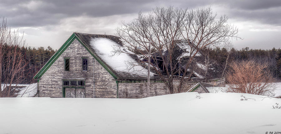 Winter Burden #1 Photograph by Richard Bean