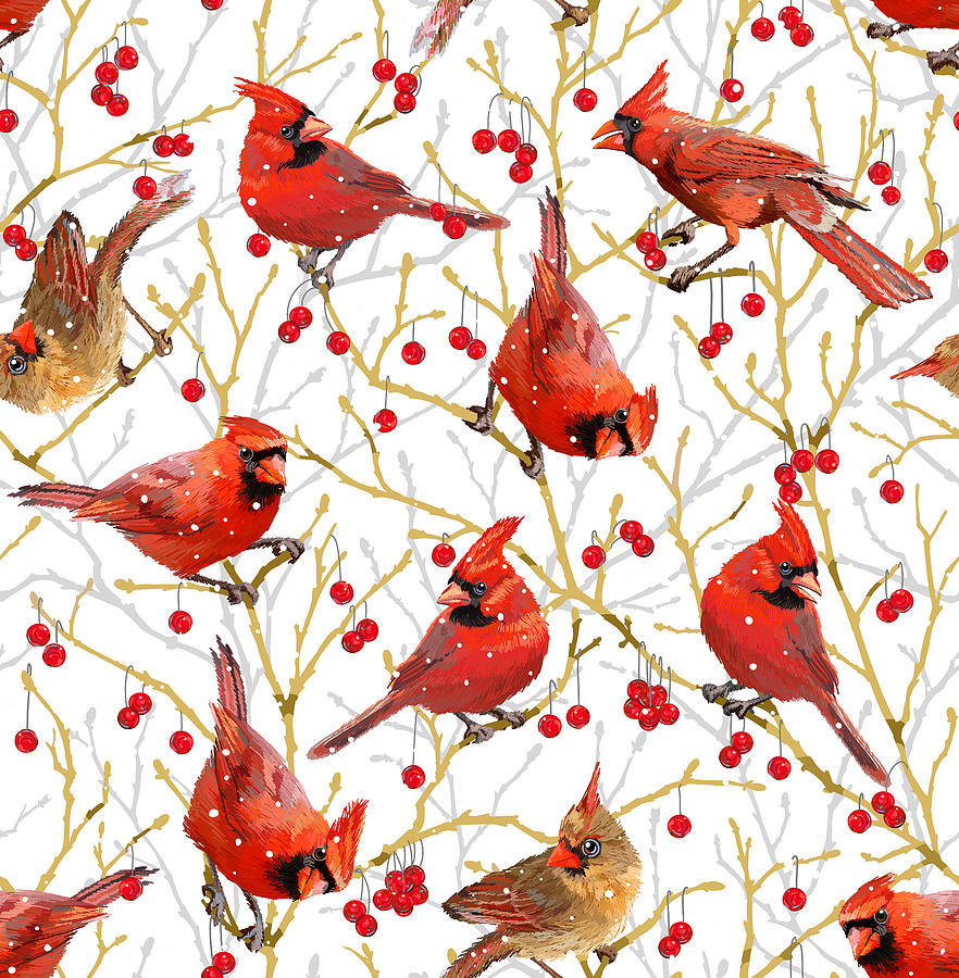 Winter Cardinals - White #1 Drawing by L Diane Johnson