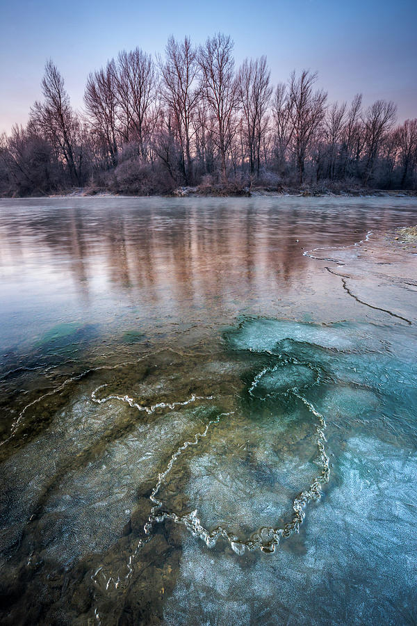 Winter Dawn #1 Photograph by Davorin Mance