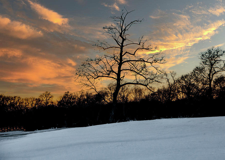 Winter Evening Photograph by Cathy Kovarik