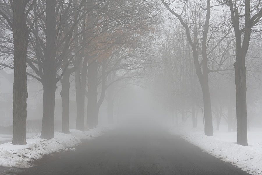 Winter Fog #1 Photograph by Denis Tangney Jr
