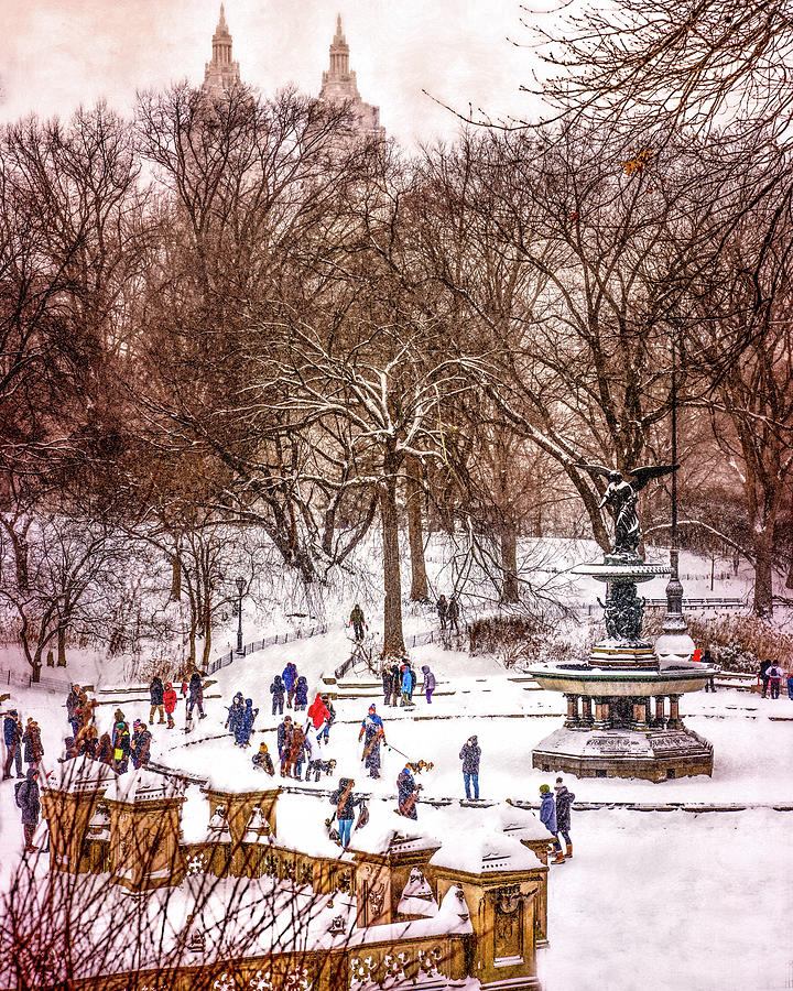 Winter Fun In Central Park #1 Photograph by Chris Lord