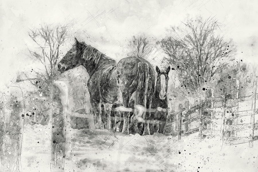 Winter Horses #1 Photograph by Irwin Seidman