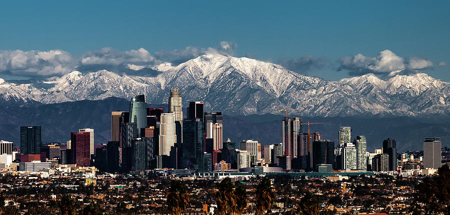 Winter in Los Angeles #1 Photograph by April Reppucci