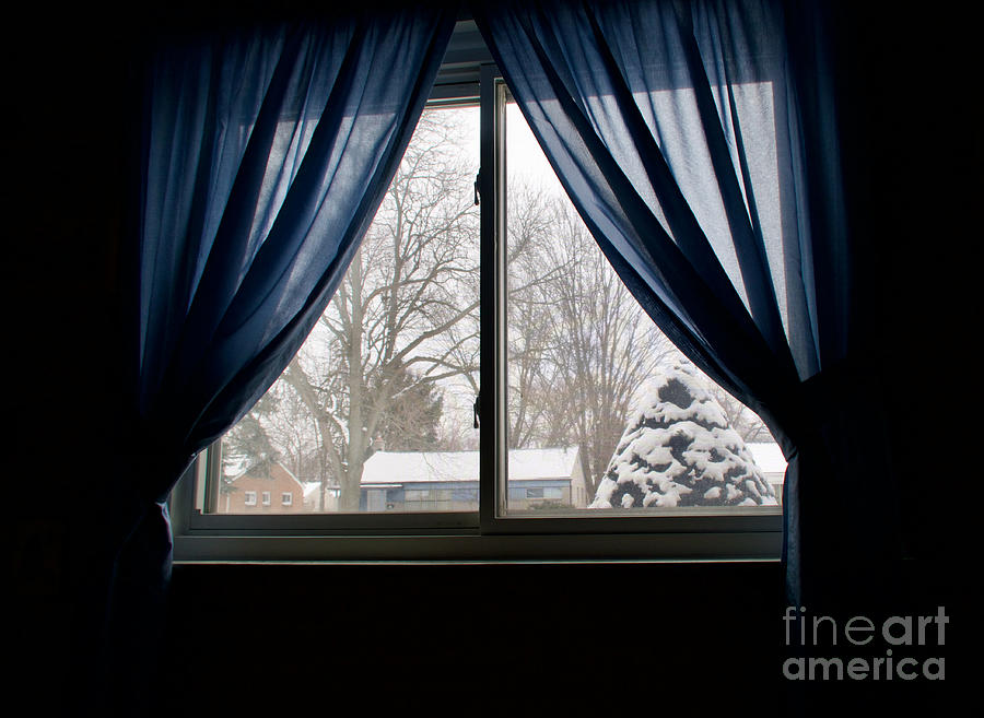 Winter Inside Out #1 Photograph by Ann Horn