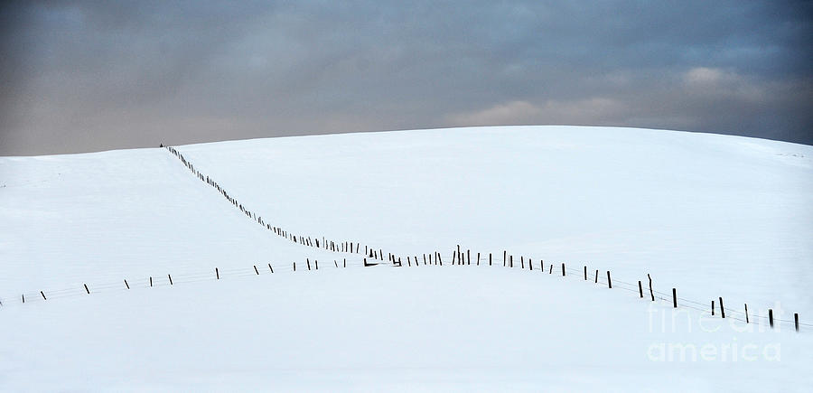 Winter Landscape #1 Photograph by Carien Schippers