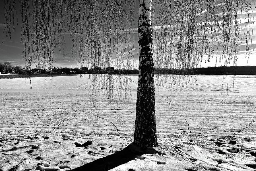               Winter Landscape #2 Photograph by Elisabeth Derichs