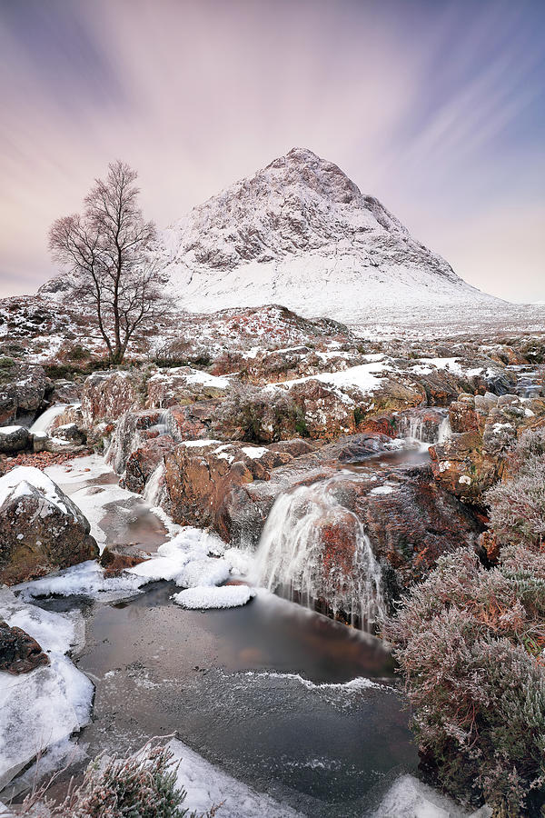 Winter Landscape #2 Photograph by Grant Glendinning