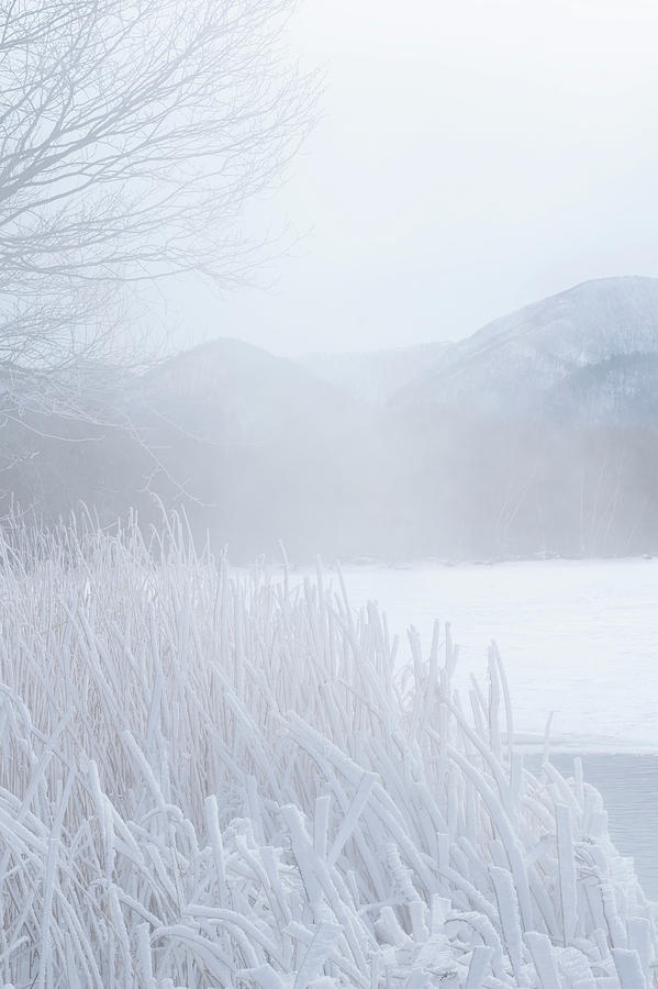 Winter landscape #1 Photograph by Kiran Joshi